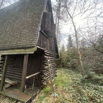 Cabin in the woods Cabin in the woods