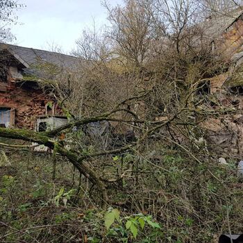 Urbex - Mühle bei V.......🐺🐺🐺🐺🐺🐺 Urbex - Mühle bei V.......🐺🐺🐺🐺🐺🐺