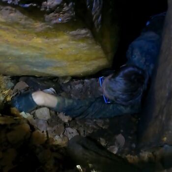 Schmale Galerie-Kletterpflanzen