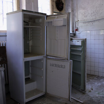 Schimmel für das Mittagessen