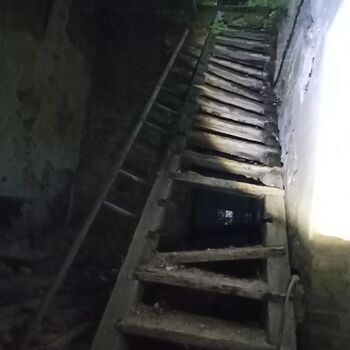 das Schloss, das jeder kennt...