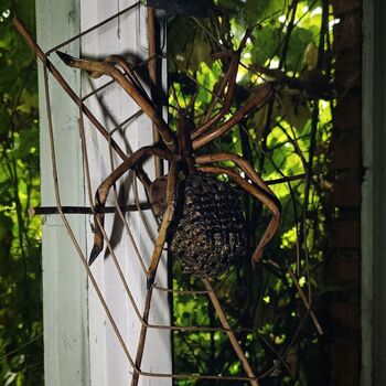 Dům vánoční vraždy🩸🎄
