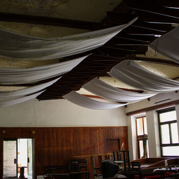 Schimmel für das Mittagessen