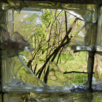 skleníkové budova struktura