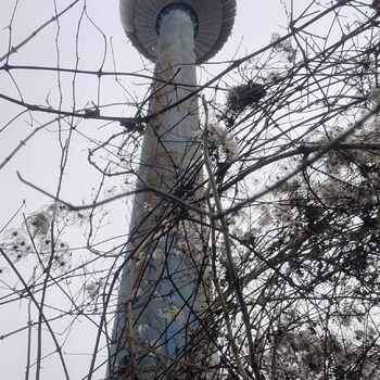 Globus über der Landschaft