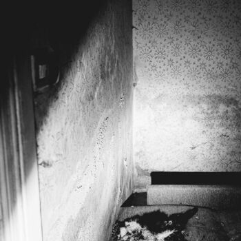 Zapomenuté stavení