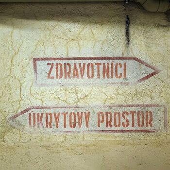 Štolák u velkého dubu.