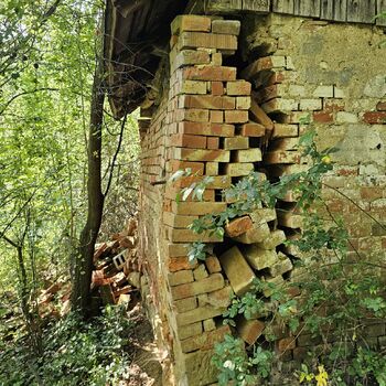 Dům v ovocné zahradě.