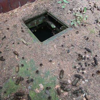 Urbex - Pionýrský tábor J.....  SK