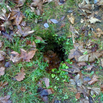 Mausoleum im Jeseníky-Gebirge
