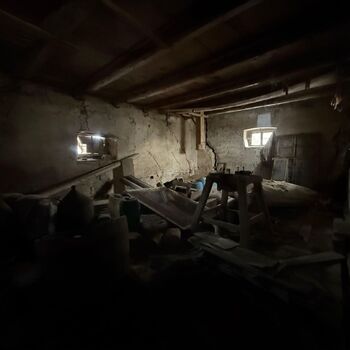 DDT, or the crocodile wasn't home