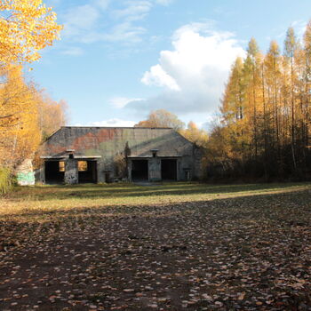 VEGA Group VEGA Group