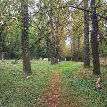 Old Jewish cemetery Old Jewish cemetery