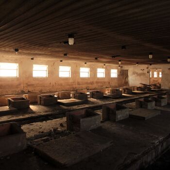 JZD, co se dle sídla jmenovat nesmělo