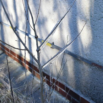 fence barrier obstruction fence barrier obstruction