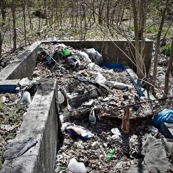 mountain tent mountain tree