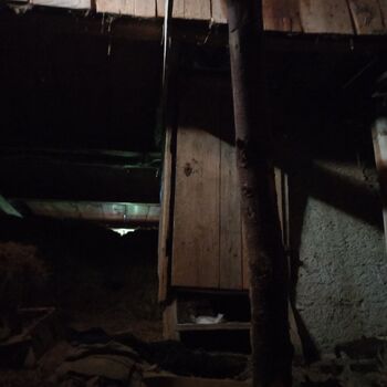 House with enclosed yard