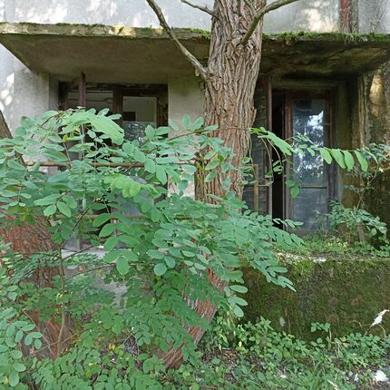 Rozvodna 2021 Rozvodna 2021