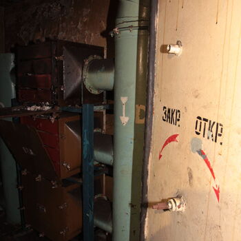 Maple 52 with swimming pool