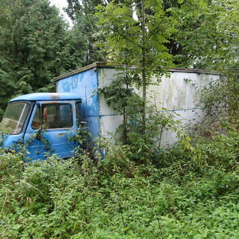 Už asi nevyjedou...