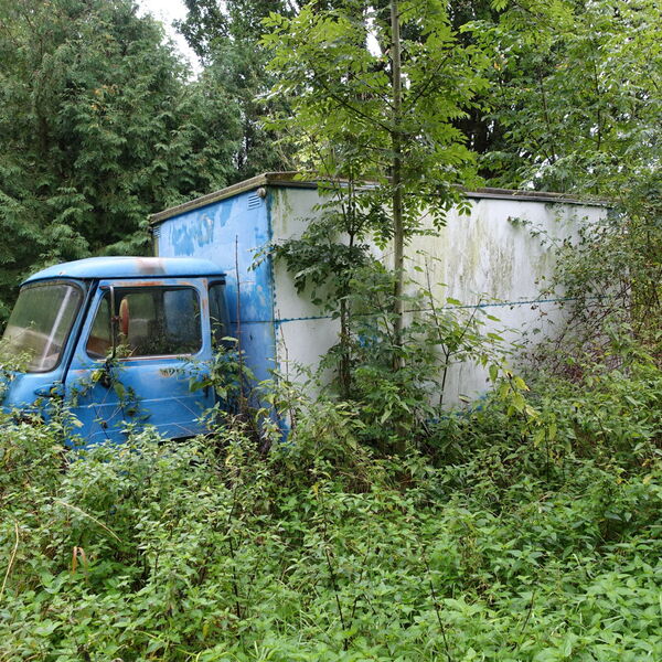 I don't think they're leaving...