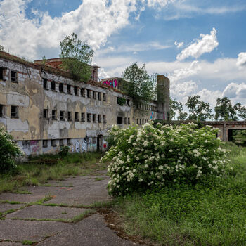 Landwirtschaftliche Fläche