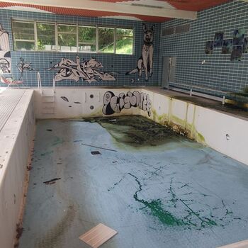 Die Schönheit der österreichischen hor🇦🇹🏔️❤️ Die Schönheit der österreichischen hor🇦🇹🏔️❤️