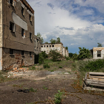 Landwirtschaftliche Fläche