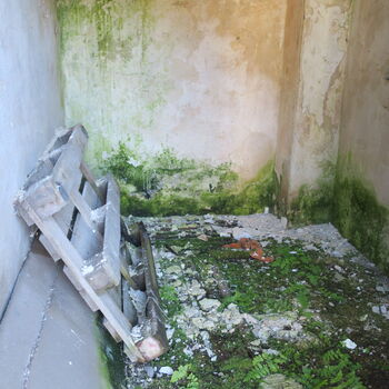 Autodílna ve stavebninách ?