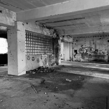 Timber production 2023