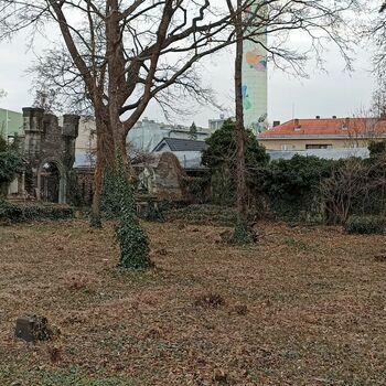 Friedhof 2022 Friedhof 2022