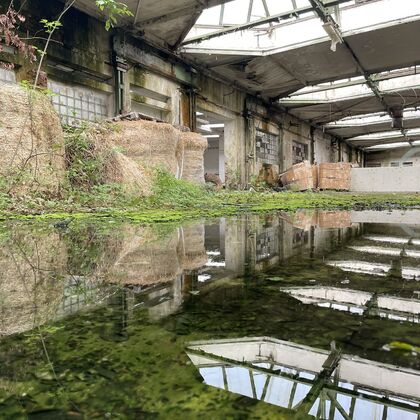 2024 Engineering plant