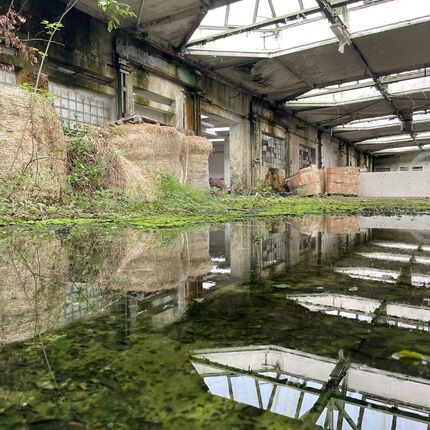 2024 Engineering plant