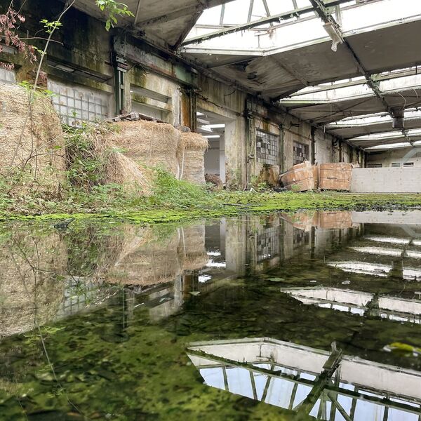 2024 Engineering plant