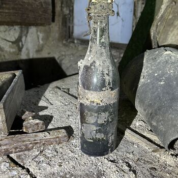 ᴅᴏᴍᴇᴋ ꜱ 🗡️