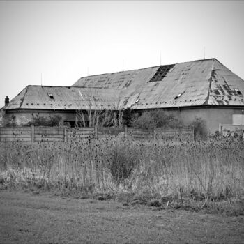 stodola budova zemědělské budovy struktura