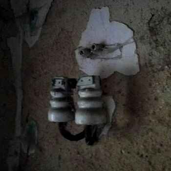 nut and bolt restraint fastener device nut and bolt restraint fastener device