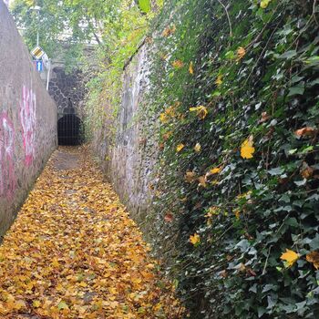 Dešťové stoky ⬇️