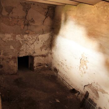 Castle, monastery, brewery and farm in one person 2021