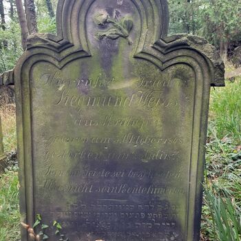 Old Jewish cemetery Old Jewish cemetery