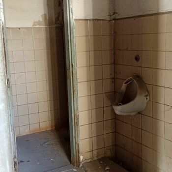 toilet room bathroom