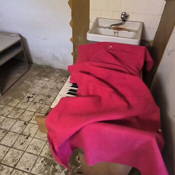 An abandoned house in the middle of a village