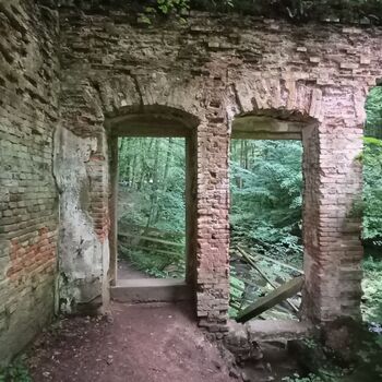 ruins of the blue house