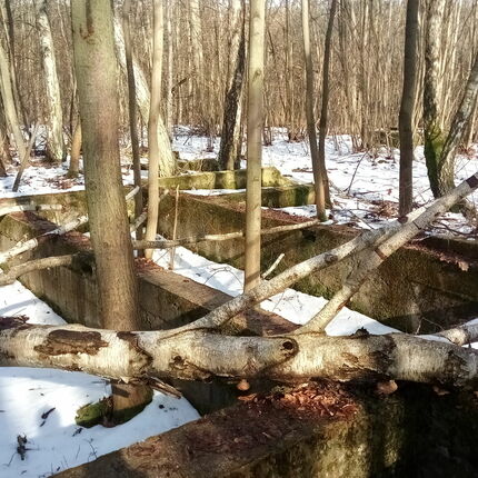 Vojenský prostor Na Zelené 2021 Vojenský prostor Na Zelené 2021