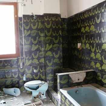 Toaleta místnost koupelna interiér domácí sprchový závěs dům závěs