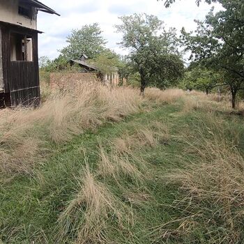 Voj.bunkr a hospodářské staveni