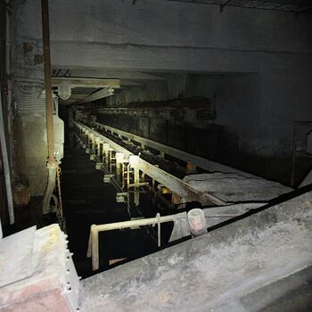 Pískové hospodářství, aneb příliš dlouhá swingers párty