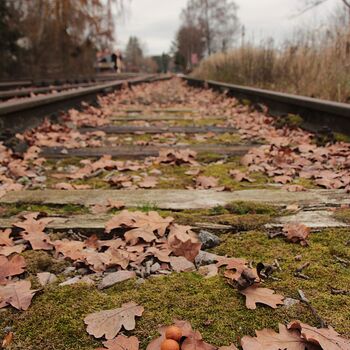 Begrabene Hoffnungen