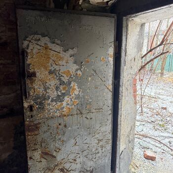 Kde holubi chodí pěšky