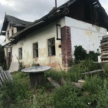 Cottage in the field